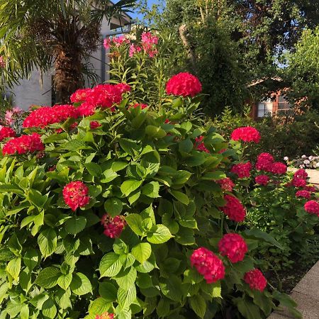 נייביצה Casa Hortensia מראה חיצוני תמונה