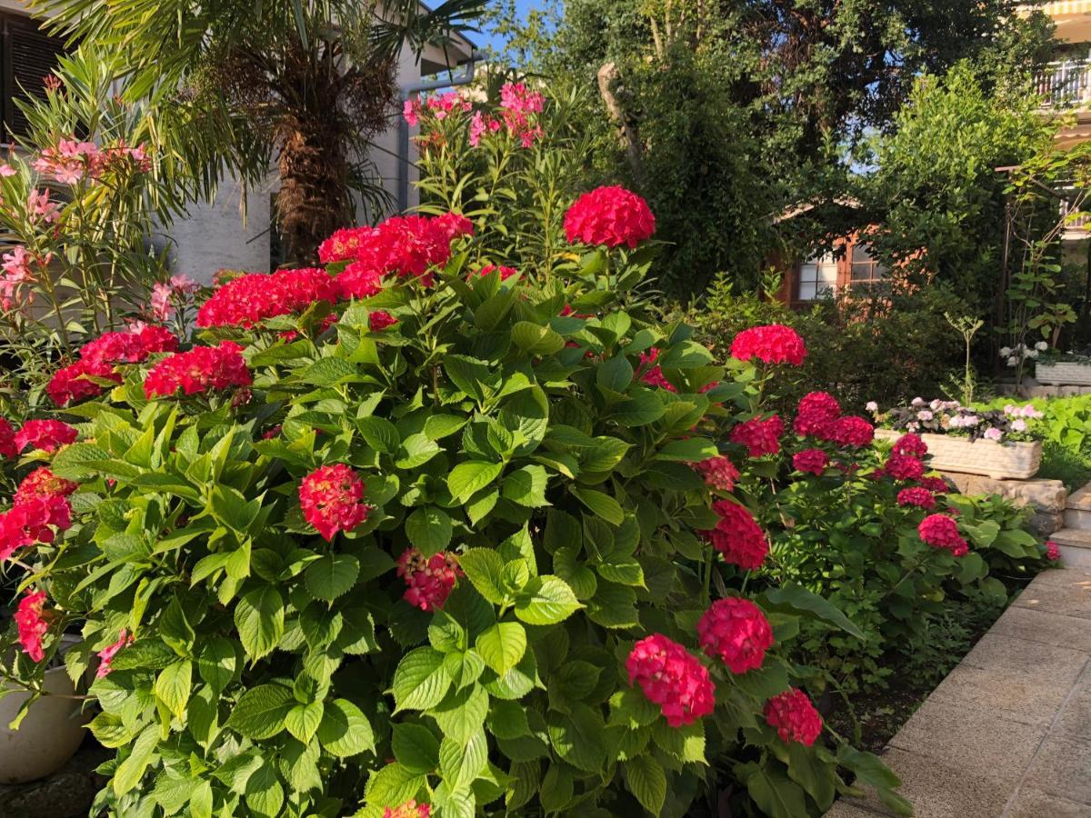 נייביצה Casa Hortensia מראה חיצוני תמונה